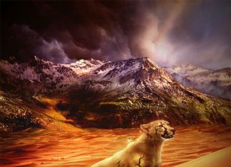 Fantastic Nature And Animal Designs by MoonsongWolf – I.D. 27