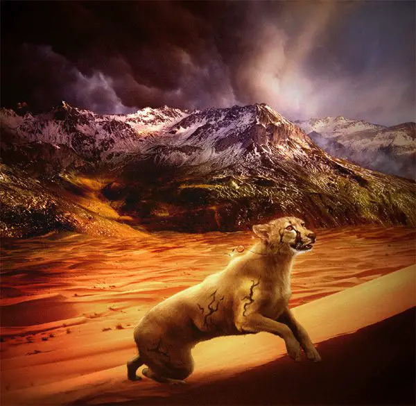 Fantastic Nature And Animal Designs by MoonsongWolf – I.D. 27