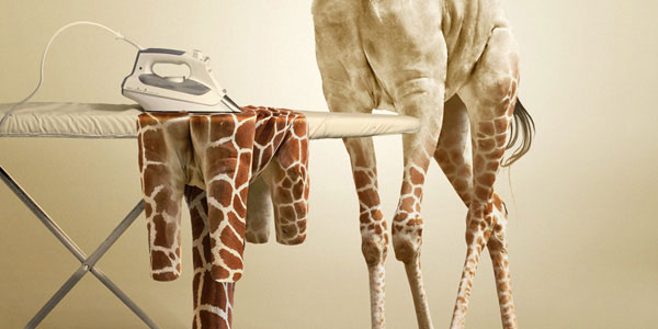 Undress a Giraffe in Photoshop