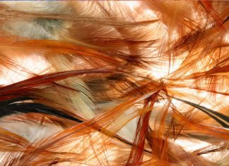 105 Photoshop Textures For Designers