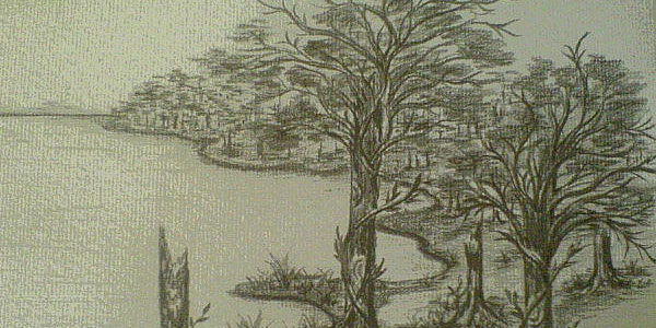 tree sketch series