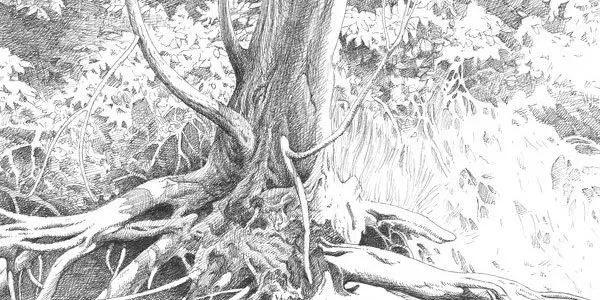 simple pencil sketches of landscapes