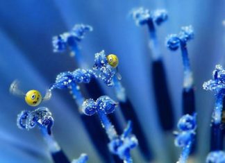 25 Awesome Blue Wallpapers