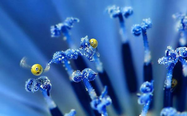25 Awesome Blue Wallpapers