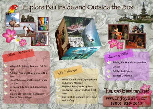 Travel Brochure