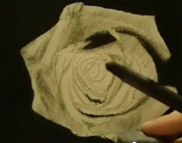 How to draw a realistic rose flower step by step tutorial