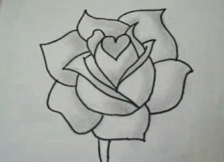 15 Great Tutorials on How To Draw A Flower