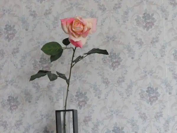 Flower and vintage wallpaper