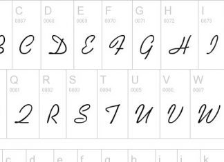 25 Best Calligraphy Fonts