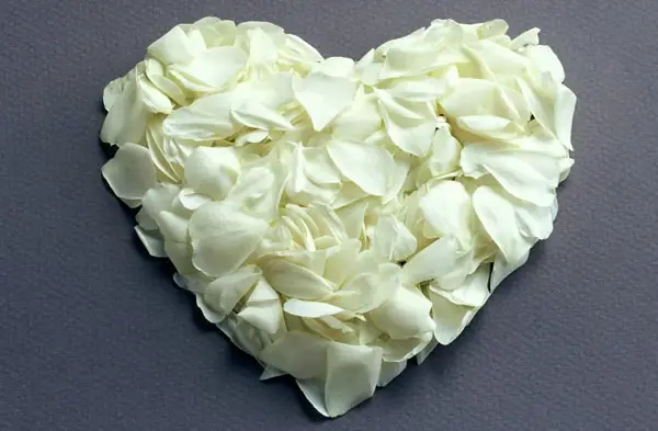 White Roses Heart