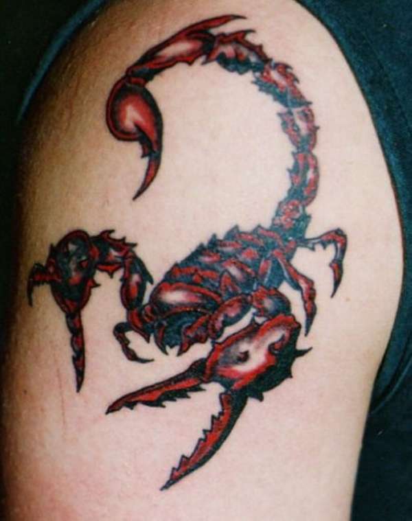 20 Spine-Chilling Scorpion Tattoos