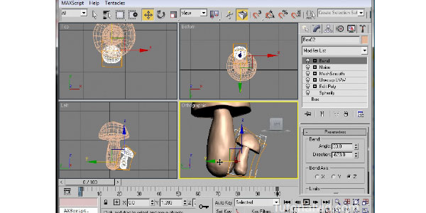 Modeling a Mushroom Boletus Edilus in 3D Max