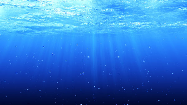 3D Underwater Scene