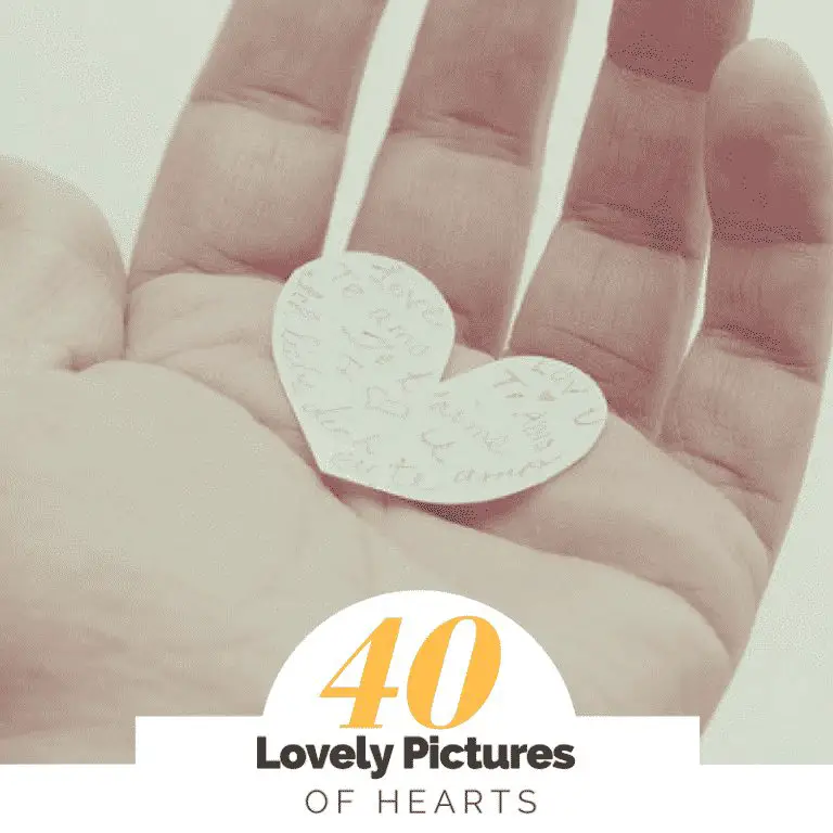 40 lovely pictures of hearts