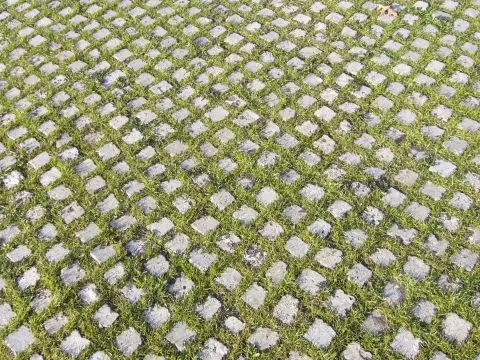 Patterned Grass Floor