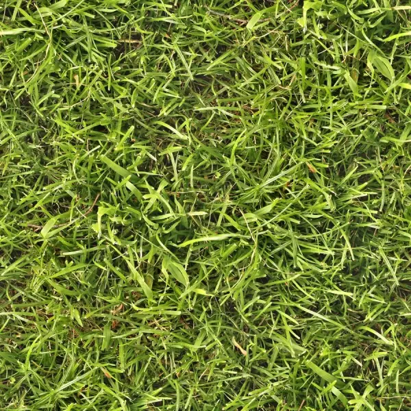 Seamless Grass