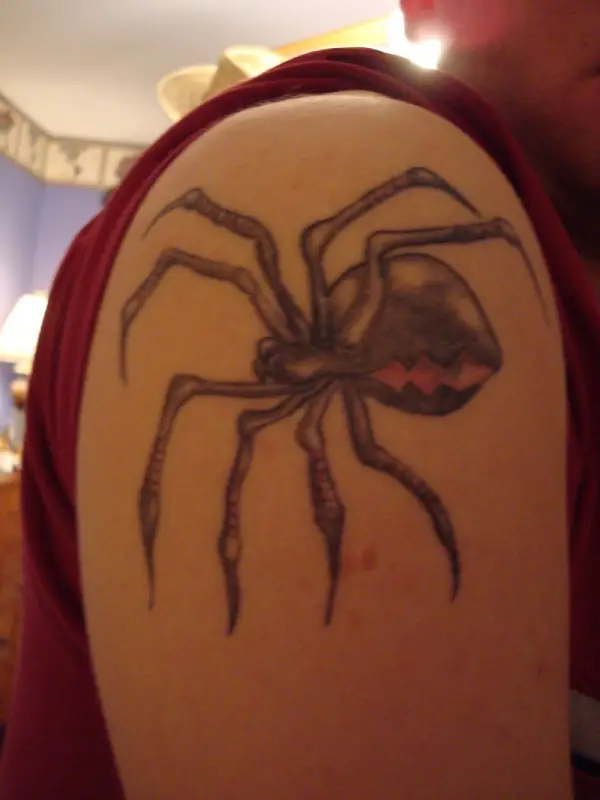 Wanted to share this pic of the giant house spider chilling next to my spider  tattoo   rspiders