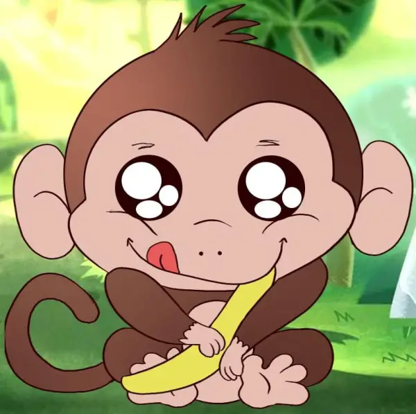 Baby Monkey