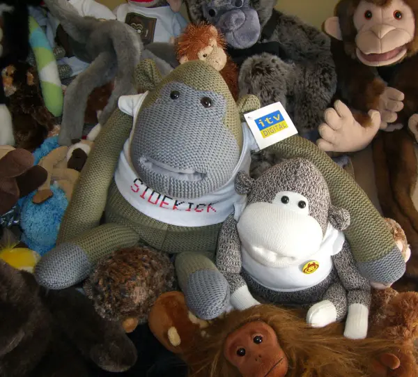 Monkey Softtoys