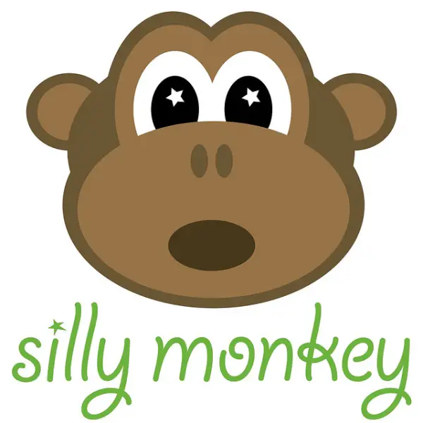 Silly Monkey