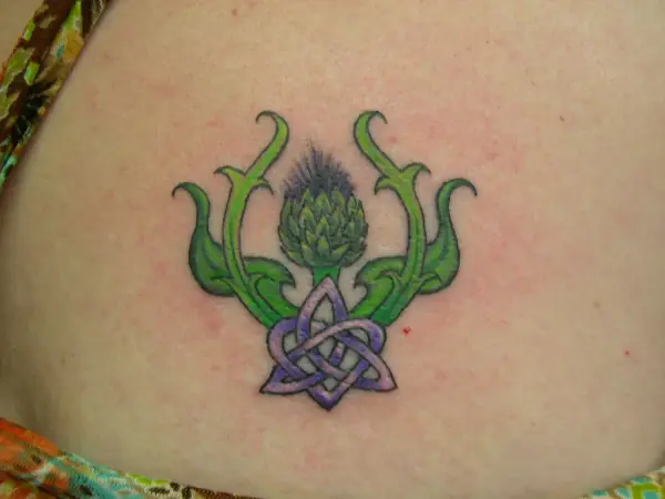 Celtic Thistle Tattoo