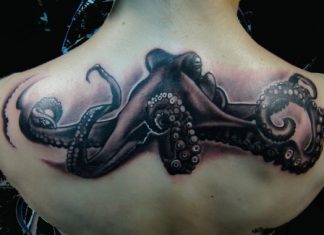 15 Amazing Octopus Tattoo Designs