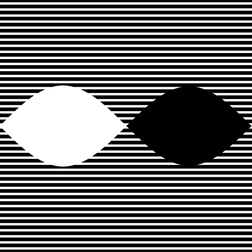Black White Illusion