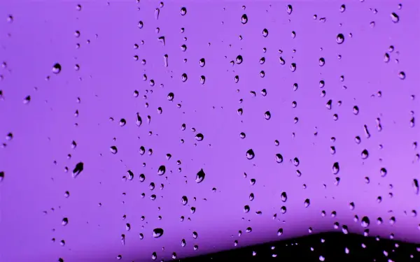 Drops on Purple Desktop