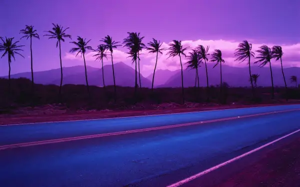 Purple Palm Trees