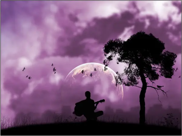 Purple Serenade