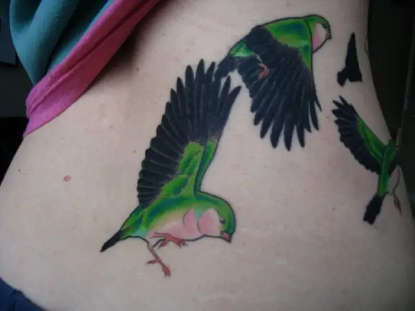 Bird Tattoo Colour Back Dark