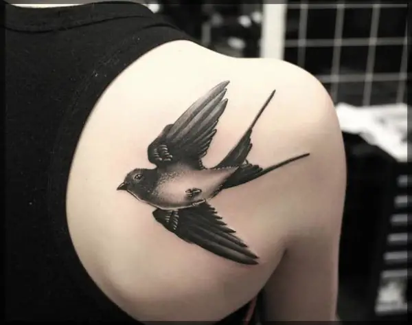 Birds Tattoo Images  Designs