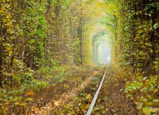 50 Pretty Backgrounds You Can’t Afford To Miss