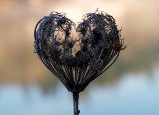 35 Pictures Of Broken Hearts To Make You Feel The Pain