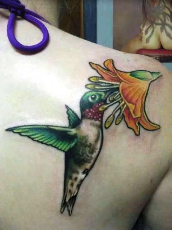 Hummingbird On Shoulder