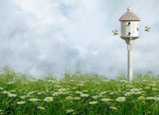 30 Cool Backgrounds For Desktop You Need To Check Today