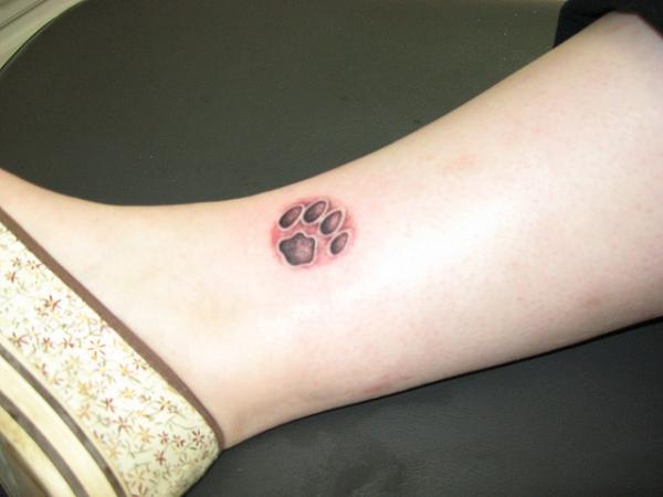 Paw Print