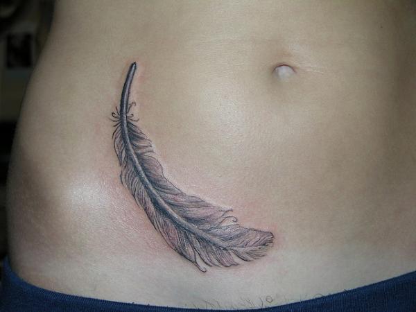 Feather On Belly