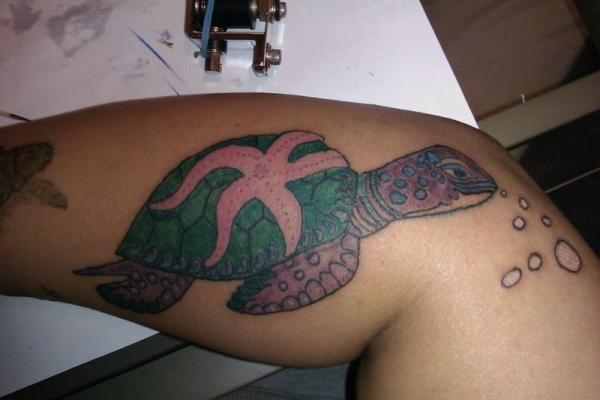 Turtle On Arm