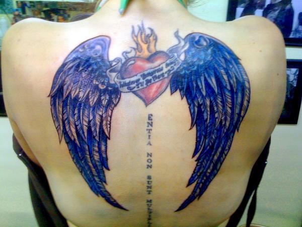 Wings Cover Up