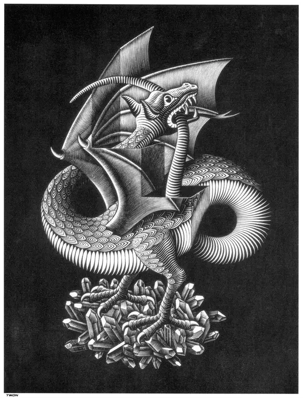 Dragon Optical Illusion