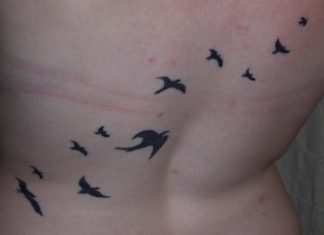 85 Mind-Blowing Bird Tattoos