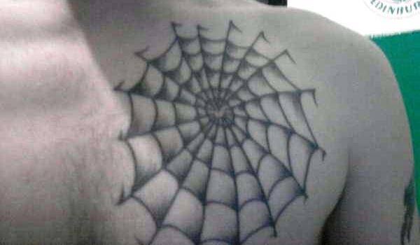 Chest Spider Web