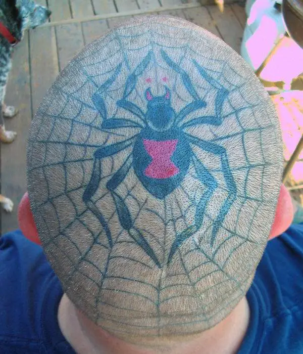 Head Spider Web