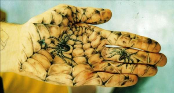Palm Spider Web