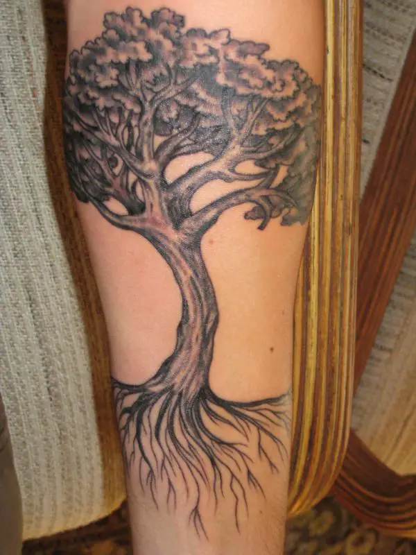 Oak Tree Tattoo