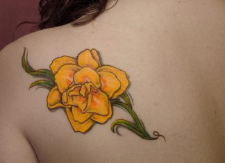 20 Wonderful Daffodil Tattoo Designs