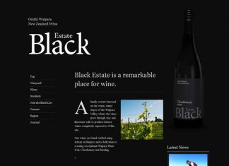 30 Awe-Inspiring Black and White Website Designs