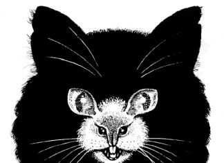 30 Scary Optical Illusions To Charge Your Wits