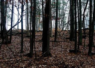 30 Unbelievably Scary Illusions